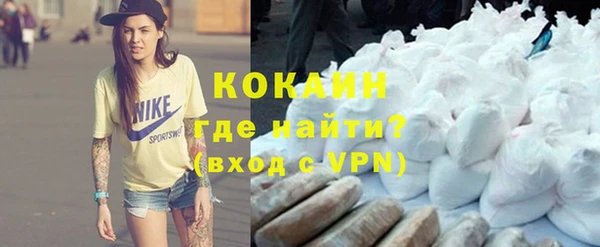 винт Алзамай