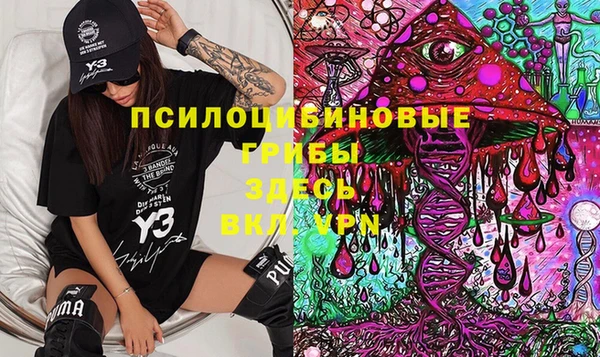 твердый Аркадак