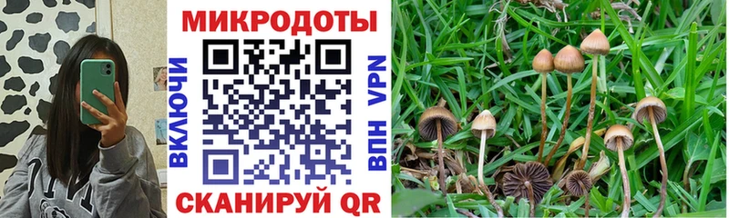 Галлюциногенные грибы GOLDEN TEACHER  дарнет шоп  Ноябрьск 